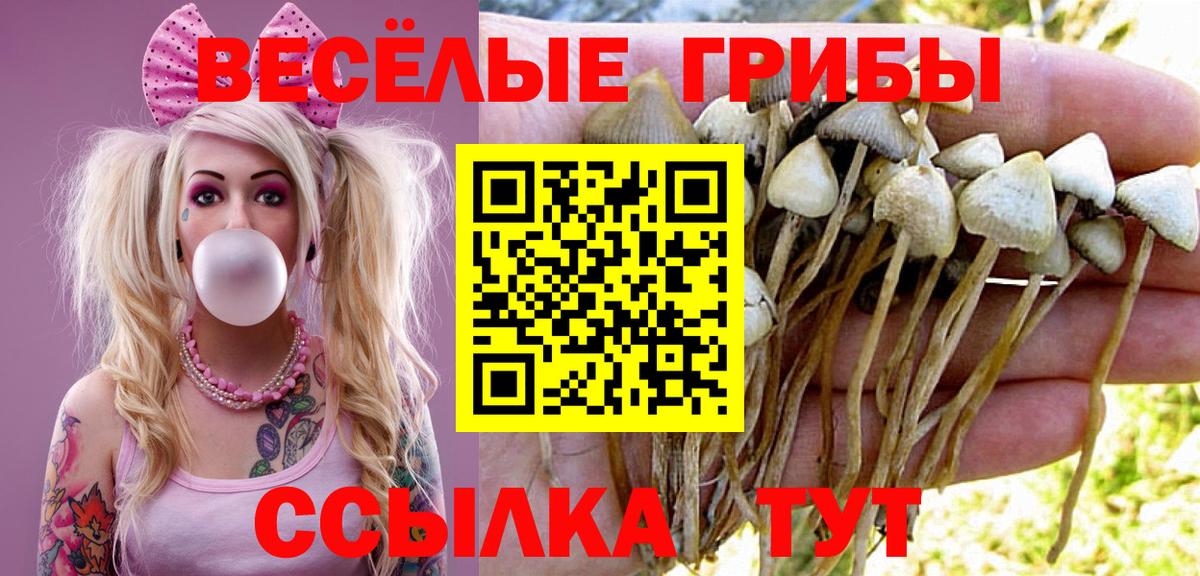 Галлюциногенные грибы GOLDEN TEACHER Смоленск