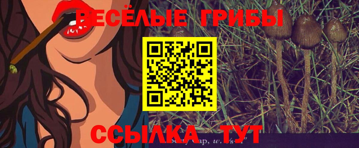 Галлюциногенные грибы GOLDEN TEACHER  Вход с VPN  Галлюциногенные грибы прущие грибы  магазин продажи наркотиков  Смоленск 